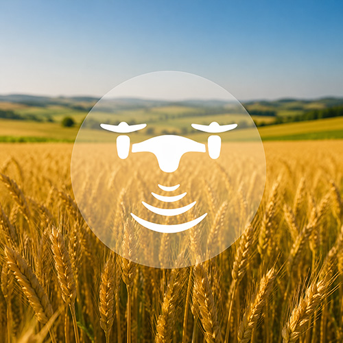 MONITORAGGIO CAMPAGNE